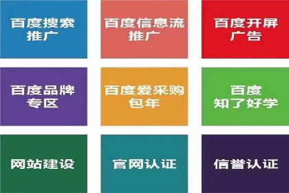 案例剖析：SEM竞价代运营助力品牌崛起